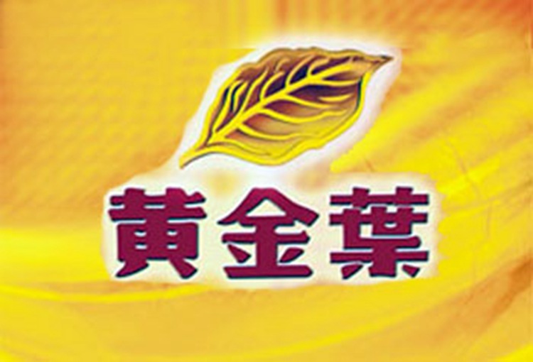 黄金叶：多途径提升品牌培育的推动力