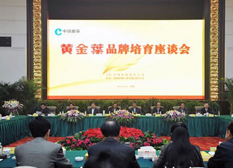 姜成康：黄金叶品牌培育的关键在于“中原突破”（图）