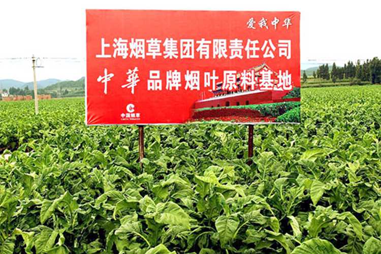 云南宣威：提认识　转方式　打造全国需求最旺烟区