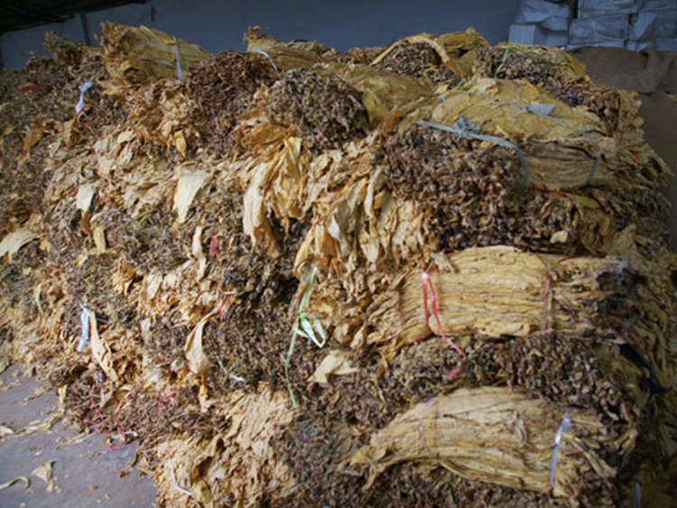 云南大理南涧查获两起无证运输烤烟案（图）